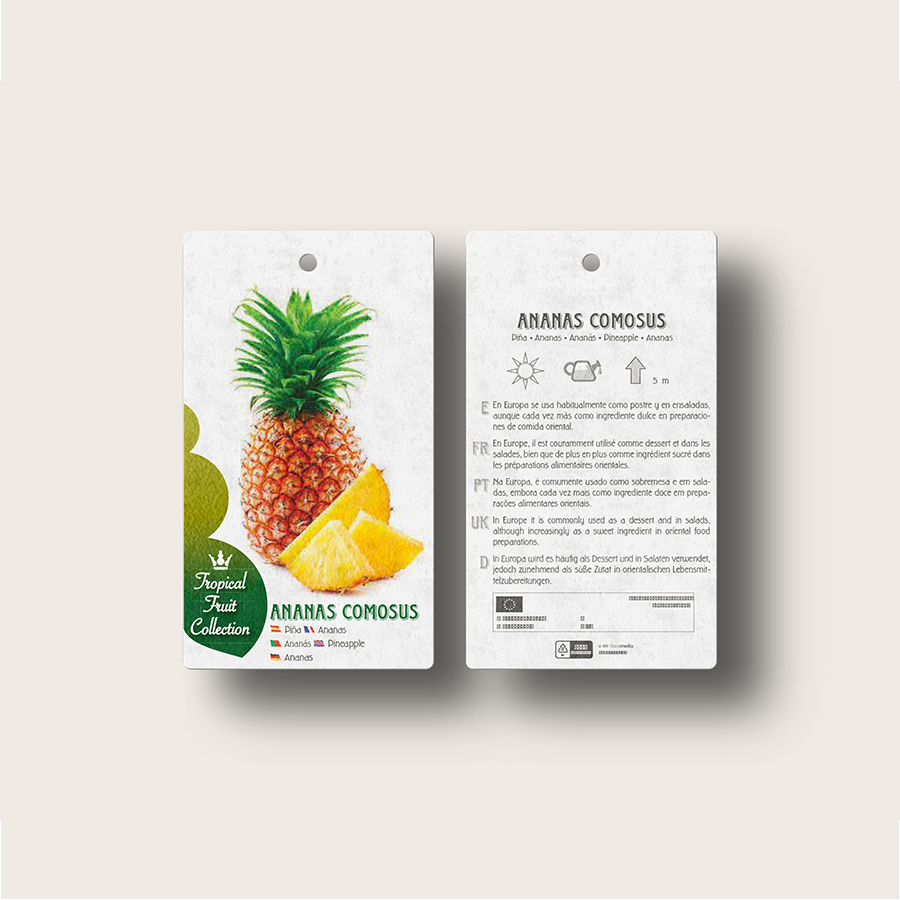 Piña - Imagen 3